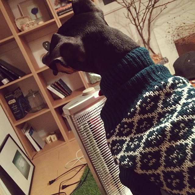RYORTERさんの実例写真