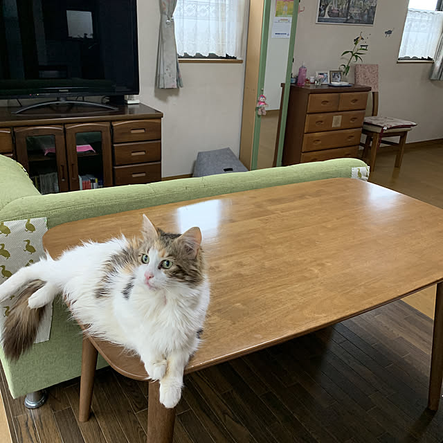 実例写真