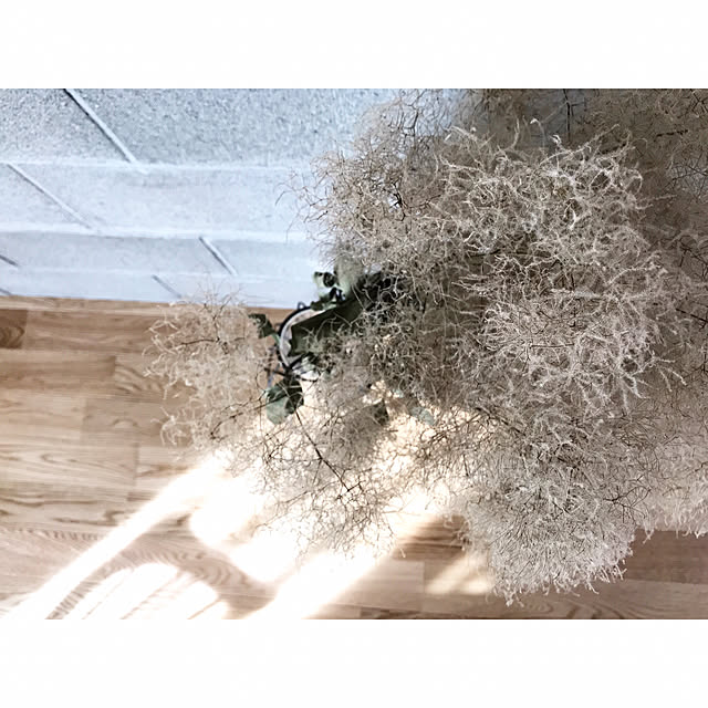 shokoさんの実例写真
