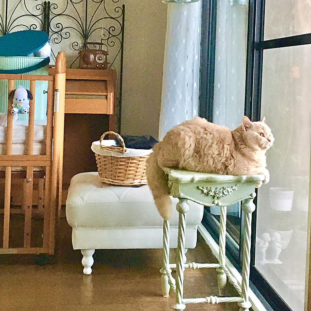 naokoさんの部屋