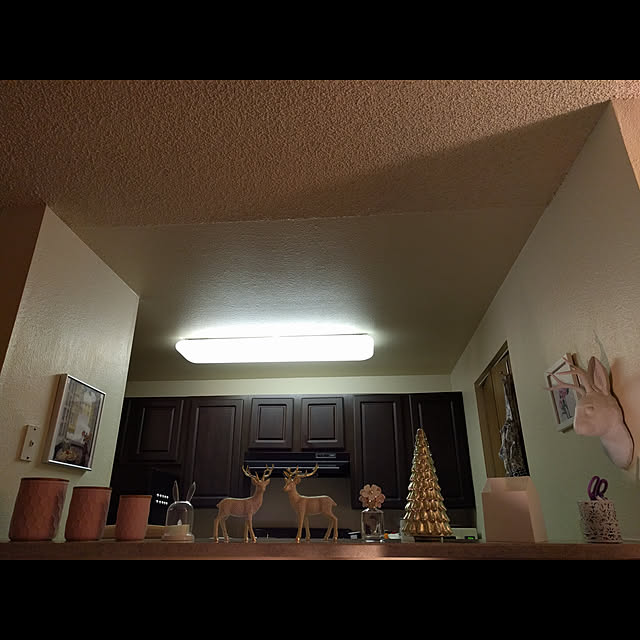 blinkie_003さんの実例写真