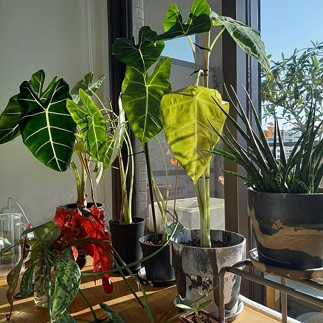 Rさんの部屋