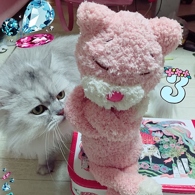 action-178さんの実例写真