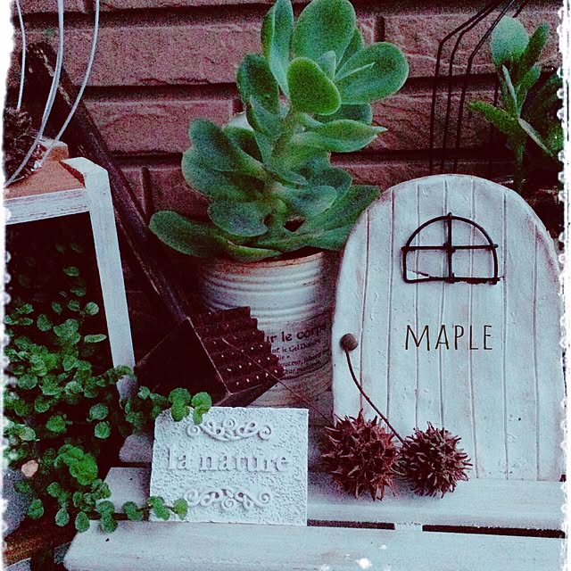 mapleさんの実例写真