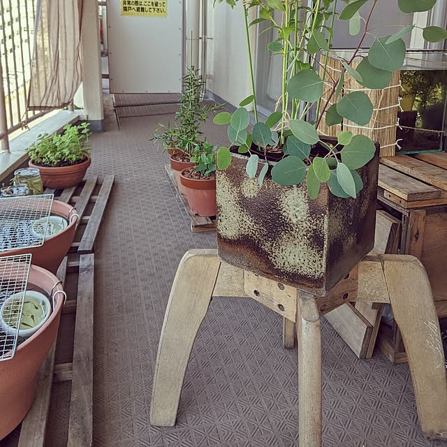 mi-saさんの部屋