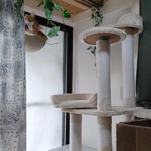 mori_6_12さんの部屋