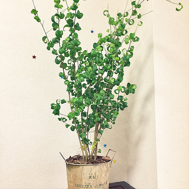 kinariさんの実例写真