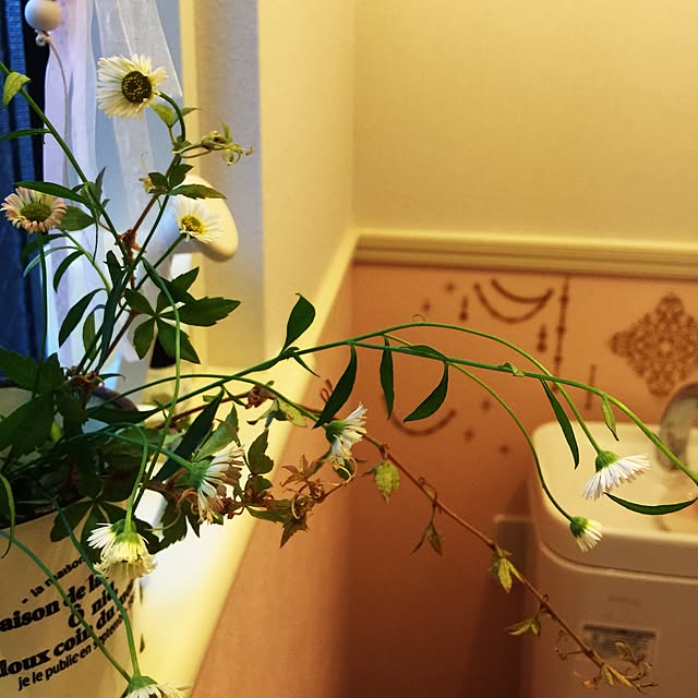 rarachanさんの実例写真