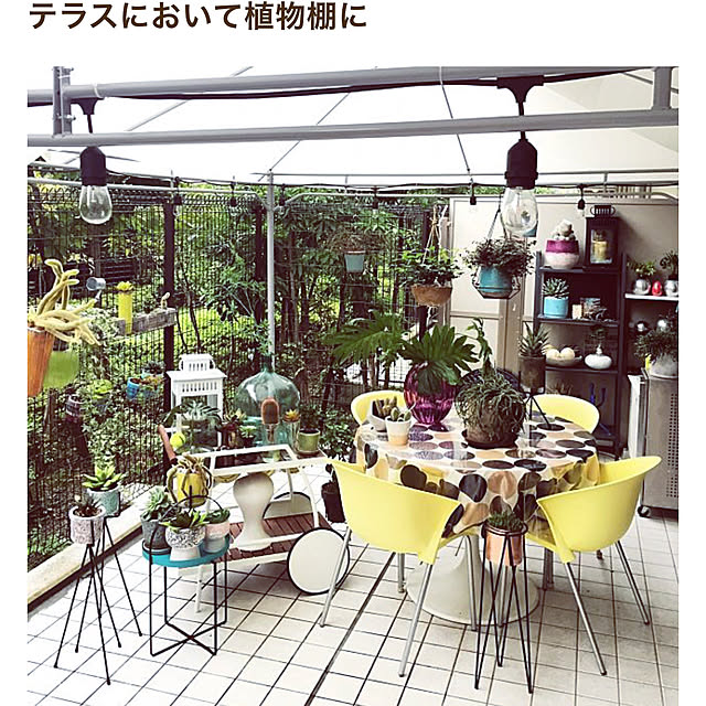 yanaさんの実例写真
