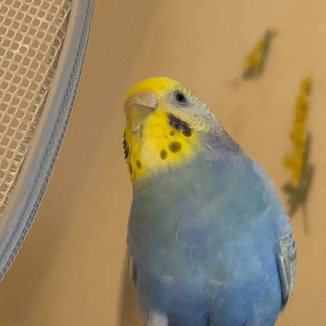 Atsukoさんの部屋