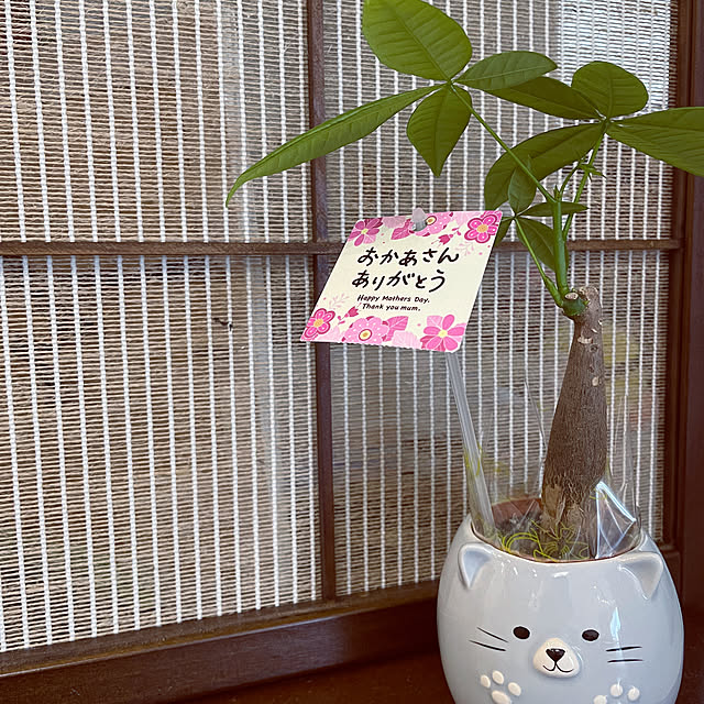 gavadonさんの実例写真