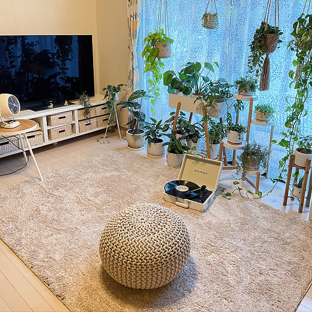 ニトリ 抗菌防臭 やわらかシャギーラグ(PBシャギー BE 200X240 ニトリ 抗菌防臭 やわらかシャギーラグ(PBシャギー BE 200X240