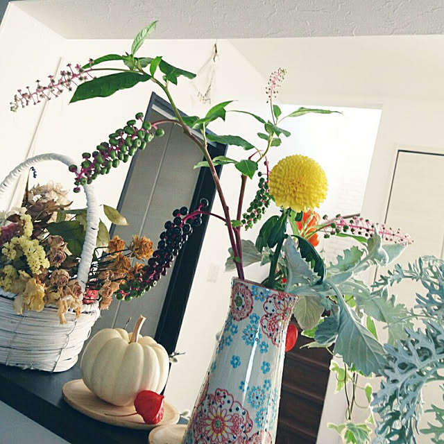 tata-kukuさんの実例写真