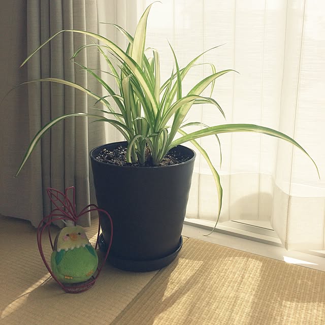jnkさんの実例写真