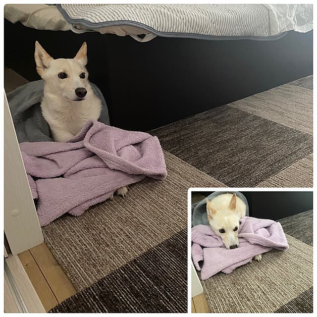tanboさんの実例写真