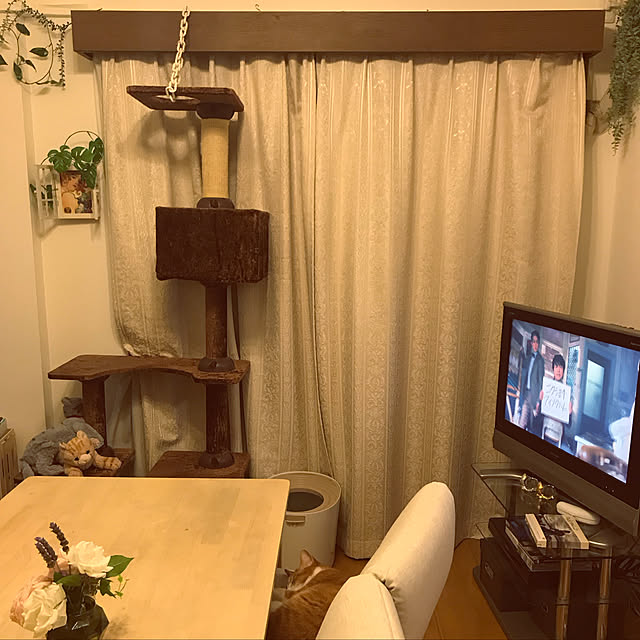 lavie0125さんの実例写真