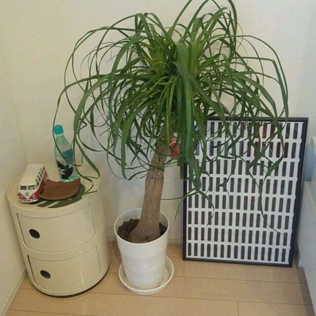 murabitoさんの実例写真