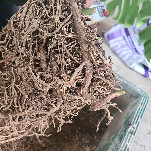 Rubiconさんの部屋