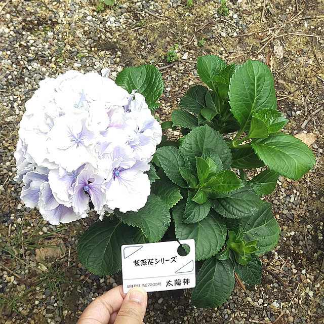 HIRO.TA29さんの実例写真