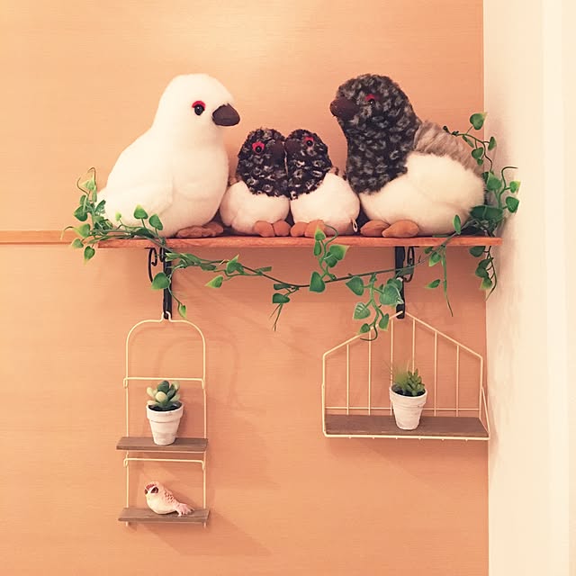 rorupannagogoさんの実例写真