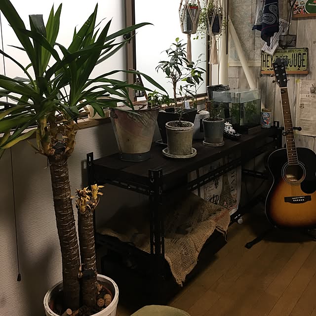 BOSS__Rinさんの実例写真