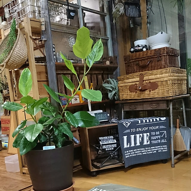 tikuwaさんの実例写真