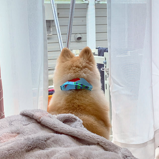 mimiさんの実例写真