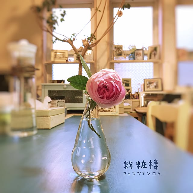 satochanさんの実例写真
