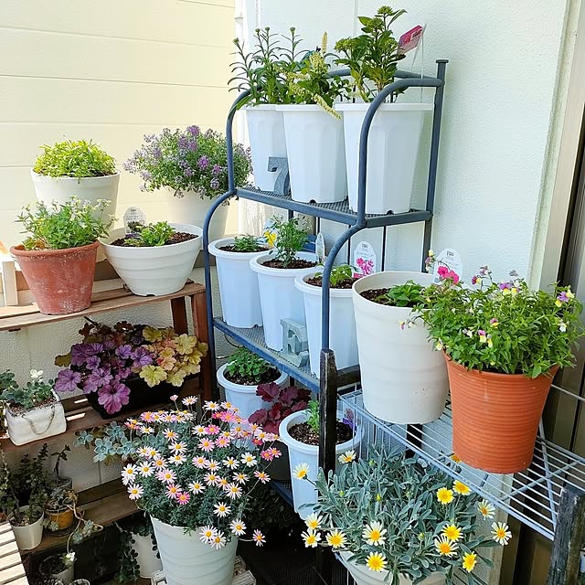VERANDARJUNさんの実例写真