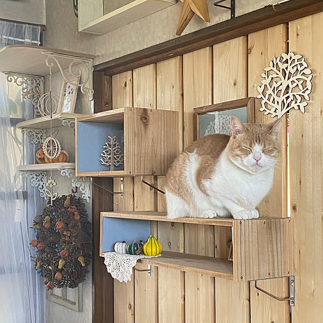 mintteaさんの部屋