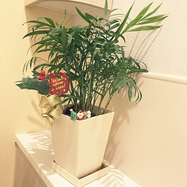 YukikunMonsterさんの実例写真