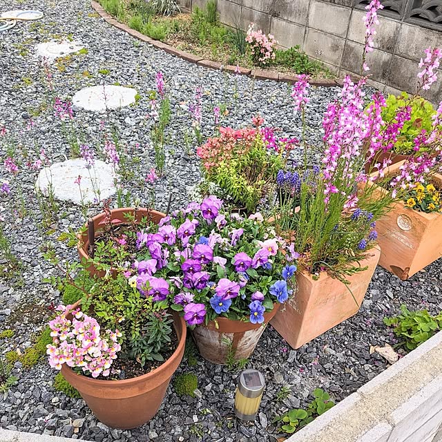 PEROさんの実例写真