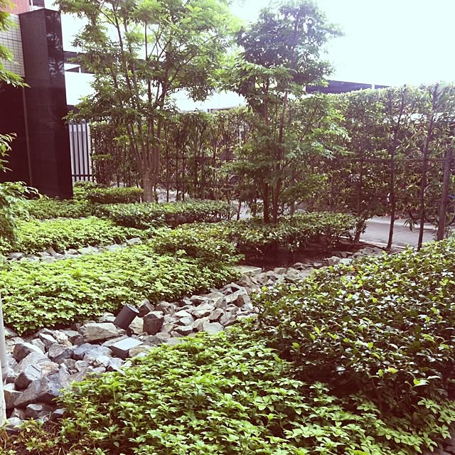 cyokotaroさんの実例写真
