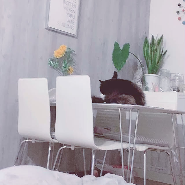 Tomoeさんの実例写真