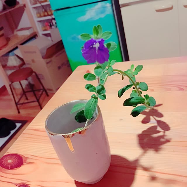 kinoko8oさんの実例写真