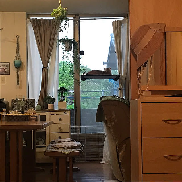 kou-kitiのGUUSII HOME-猫窓用ハンモック 猫窓ベッド 窓ハンモック 猫窓ベッド 吸盤式 ペットベッド 吊りハンモック ねこ ネコ キャットハンモック キャットマット 窓際マット 通気メッシュ 日光浴 ウィンドウベッド 洗える 猫用 耐荷重約23KG ストレス解消 組立簡単 日本語説明書付き 90日保証 62x33cm グレー フランネルの家具・インテリア写真