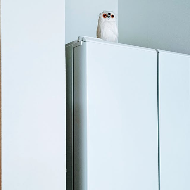 kikiさんの実例写真