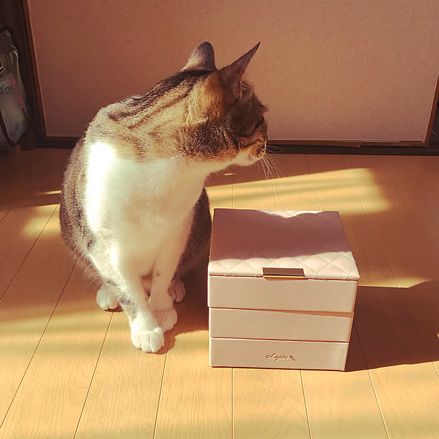 yurari.bonnさんの実例写真