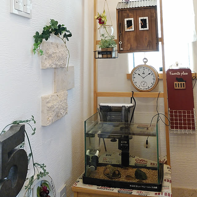 junkoromochiさんの実例写真