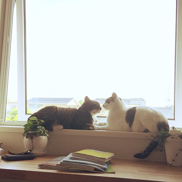 実例写真