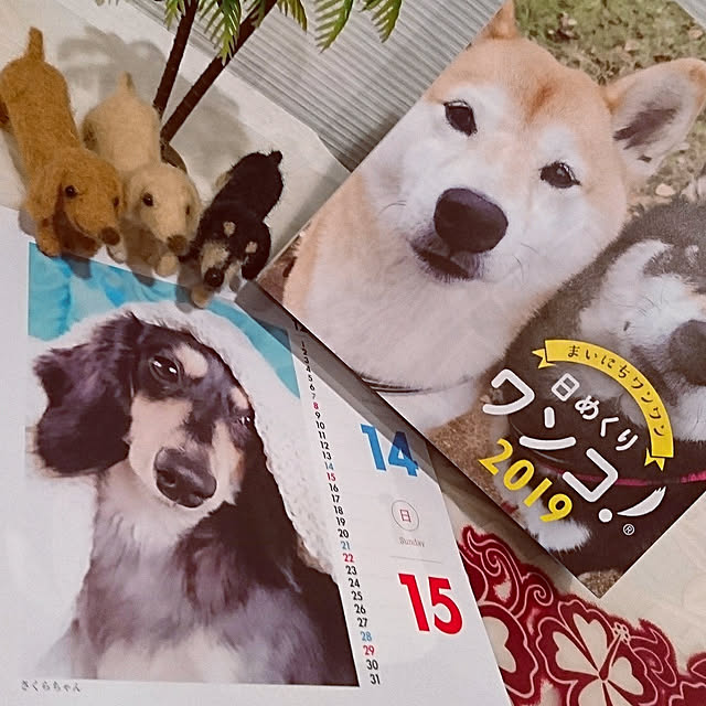 cocosorasakuさんの実例写真