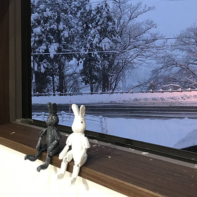 Miriさんの実例写真