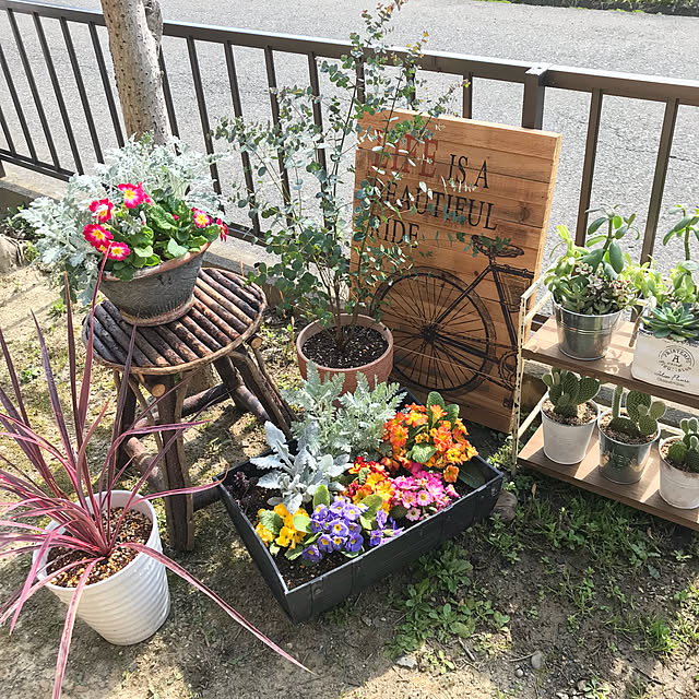 10ri5100さんの実例写真