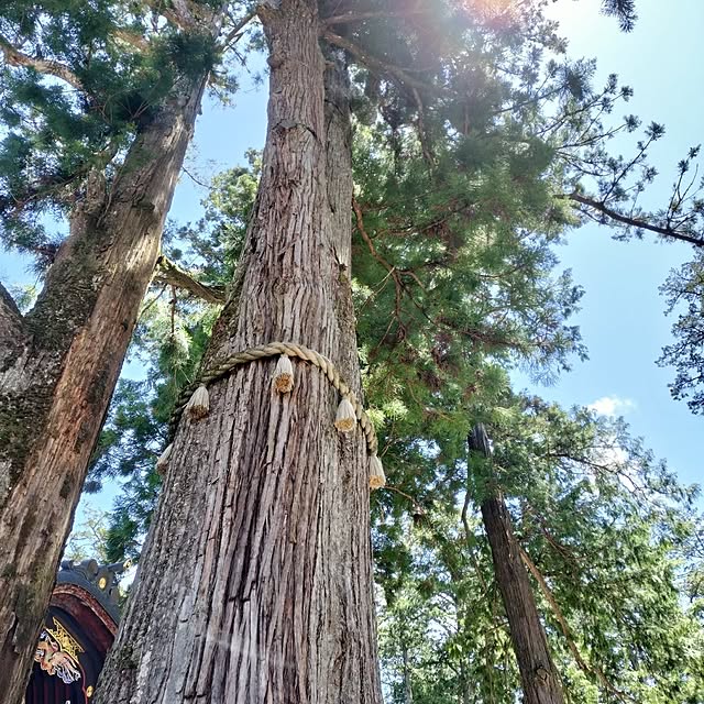 ya_maさんの部屋