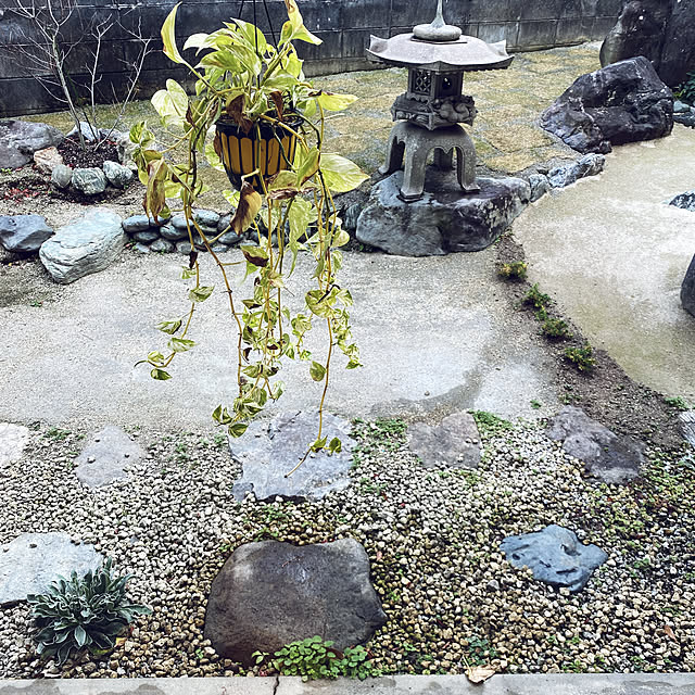 uninekoさんの実例写真