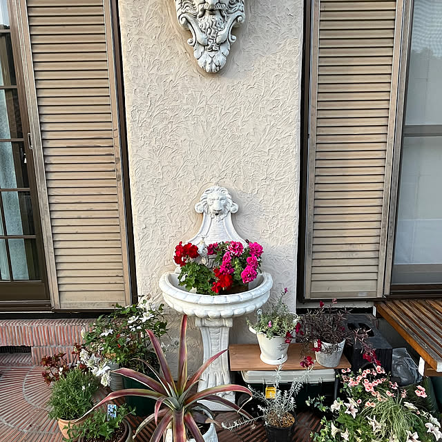 dainaoreiさんの実例写真