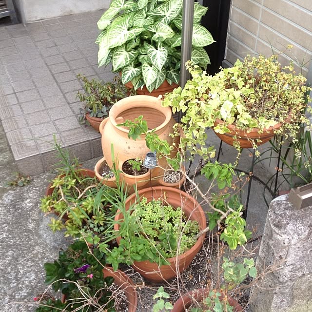 yayoyaccoさんの実例写真
