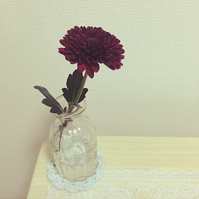 iikopiikoさんの実例写真