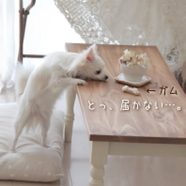 Rikoさんの実例写真