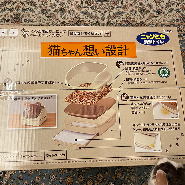 sajuさんの部屋